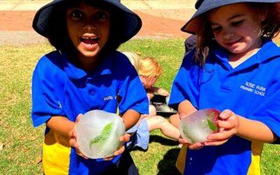 Nature Play with Sogna