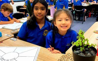 Parent / Teacher interviews