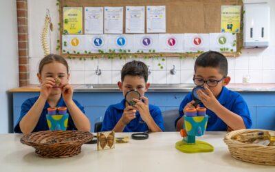 Issue 6 Wednesday 25 June