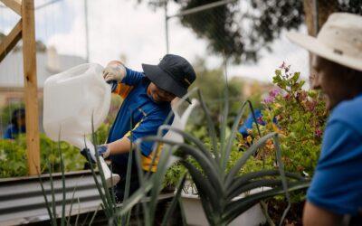 Issue 2 Wednesday 18 February 2026